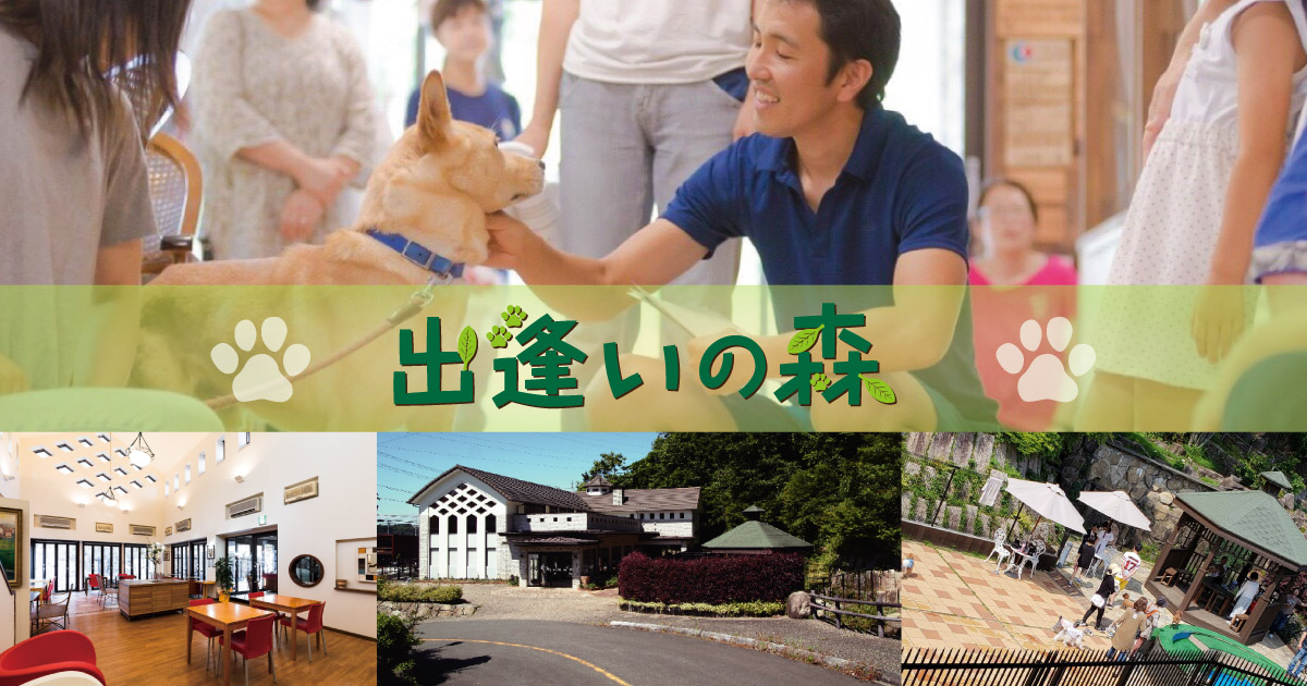 出逢いの森 岐阜県で犬の殺処分ゼロを目指したドッグシェルター 犬の複合保護施設