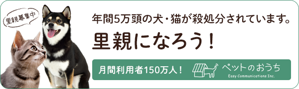 里親になろう！