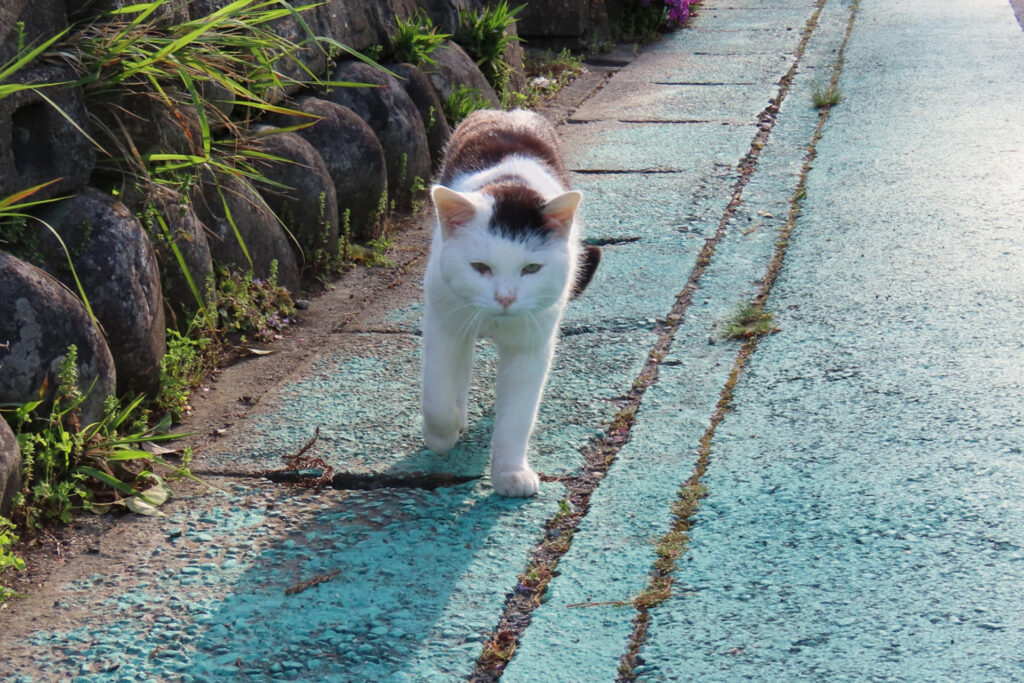 ご支援いただける企業様