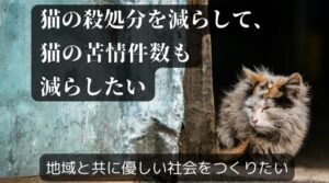 出逢いの森がふるさと納税を活用して猫問題に取り組みます！