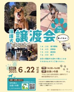 2025年5月譲渡会のお知らせ