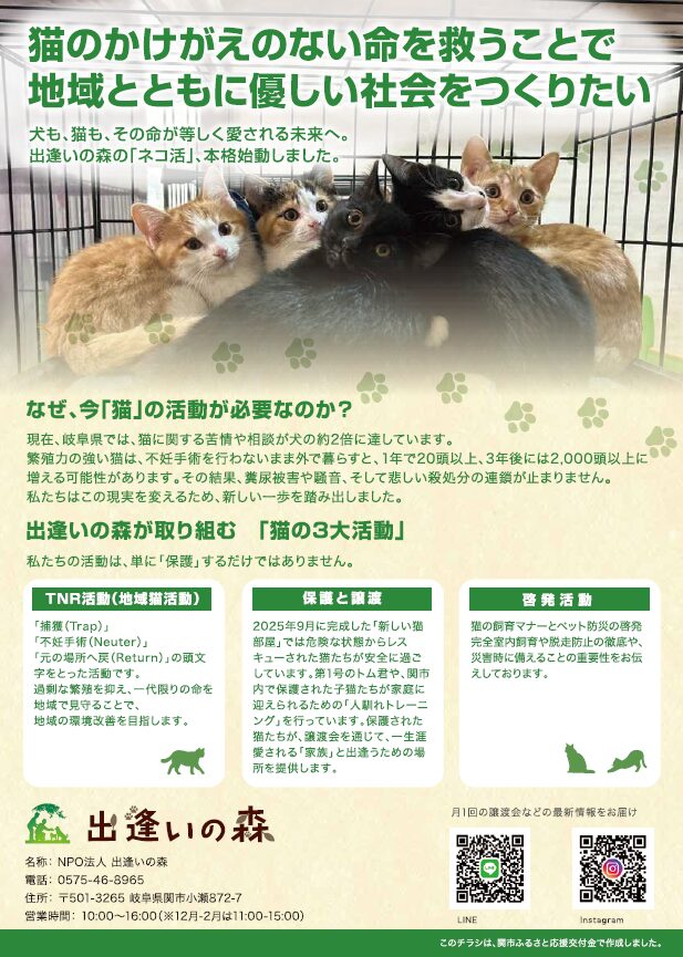 保護猫譲渡会チラシ裏面の画像