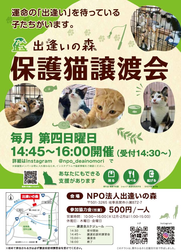 保護猫譲渡会チラシ表面の画像