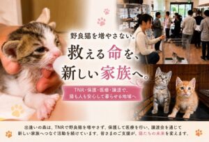 関市との共同事業でふるさと納税を活用したクラウドファンディングにしてます！